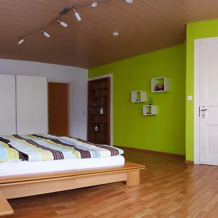 Erz Apartment Kinheim
